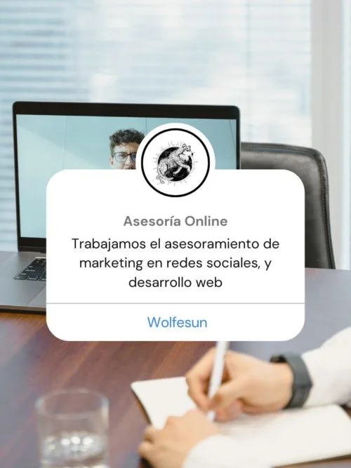 asesoria online