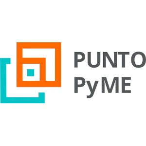 punto pyme